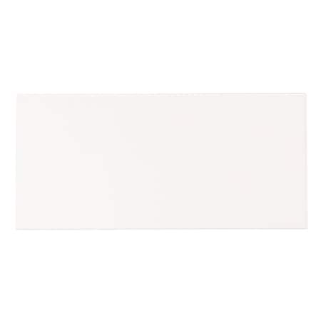 Jackson Safety Safety Inner Plates, Polycarbonate, 2 in x 4.25 in 37249